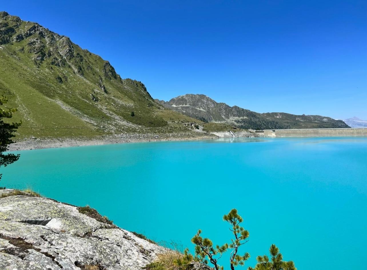 Vincenzo Appart, Confortable A Nendaz, Acces Direct Au Telecabine De Tracouet Et Parking Souterrain Inclus * Nendaz